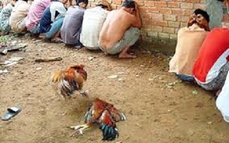 Tin tức pháp luật mới nhất ngày 7/2 - ĐS&PL Online