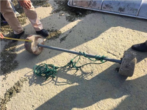 Du khách người Úc trói chân, nhảy xuống vịnh Hạ Long tự tử