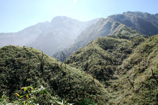 Chuyện về những người giữ gìn báu vật dưới chân dãy núi Hoàng Liên Sơn