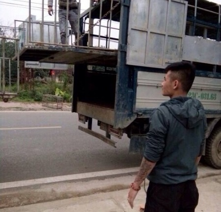 Bắt đối tượng cướp 40 con lợn và ép ký giấy nợ 3 tỷ đồng