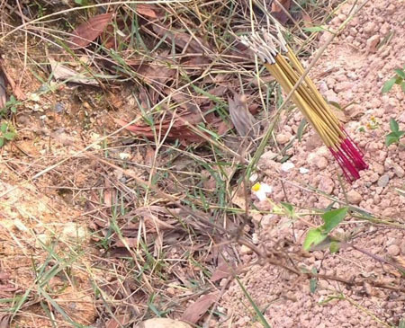 Đi chăn bò, phát hiện hài cốt bên cạnh đường quốc lộ