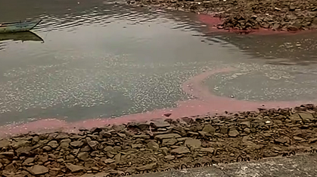 Xuất hiện dải nước đỏ kỳ lạ ở vùng biển Hà Tĩnh