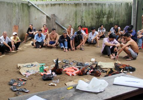 Tin tức pháp luật mới nhất ngày 26/2