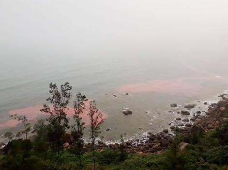 Nguyên nhân xuất hiện dải nước màu đỏ trên biển Lăng Cô