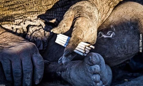 Bị phụ tình, người đàn ông giữ lời thề hơn 60 năm không tắm