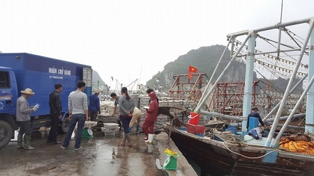 Tóm gọn băng giang hồ chuyên