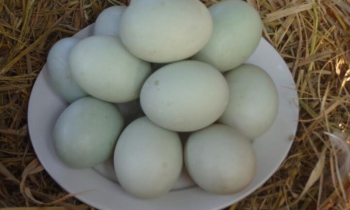 Thông tin mới nhất vụ trưởng phòng huyện