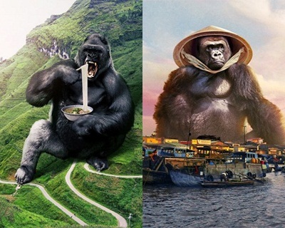 Loạt ảnh chế hài hước khi Kong chuyển 'hộ khẩu' đến Việt Nam gây bão mạng