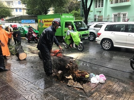 Mưa gió lớn kéo đổ cây xanh, một phụ nữ mắc kẹt