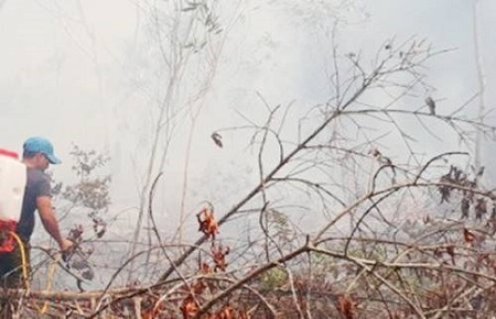 Kiểm lâm vác từng can nước lên núi cao 500 m cứu rừng phòng hộ Phú Quốc