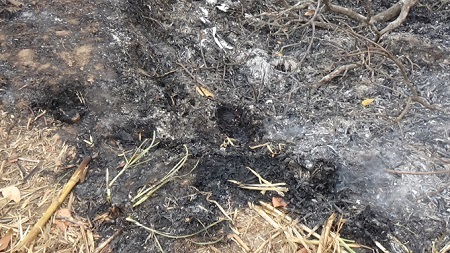 Ngã xuống hố đốt rác, cụ bà 80 tuổi tử vong