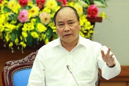 Thủ tướng yêu cầu 3 tỉnh kiểm tra phản ánh việc chặt phá rừng