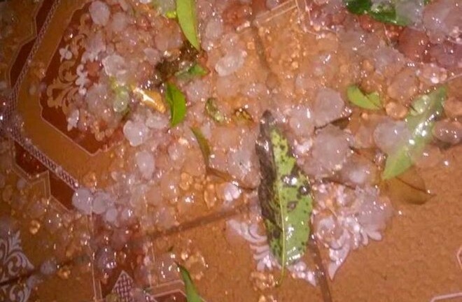 Thanh Hóa: Cơn mưa đá lạ khiến hoa màu của người dân bị tàn phá