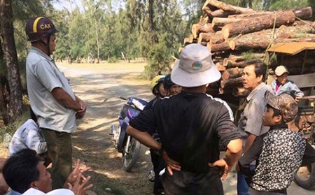 Phó Thủ tướng yêu cầu kiểm tra việc phá rừng phòng hộ tại Phú Yên