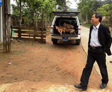 Giám đốc Trung tâm Y tế dùng xe biển xanh chở gỗ lậu