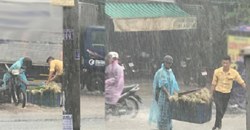 Ấm lòng với cử chỉ của chàng trai giữa cơn mưa trắng trời như trút nước