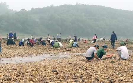 Tin tức thời sự 24h mới nhất ngày 13/4