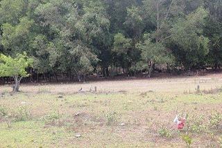 Công an hóa trang triệt phá ổ bạc 