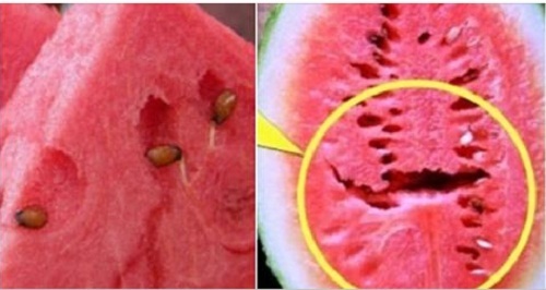 Hãy vứt bỏ ngay nếu thấy dưa hấu có những dấu hiệu này