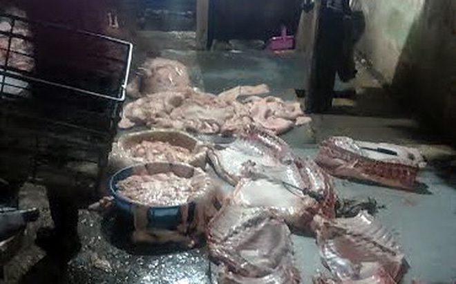 Leo rào vào lò mổ, giật mình thấy cảnh giun sán chui ra từ các bộ lòng