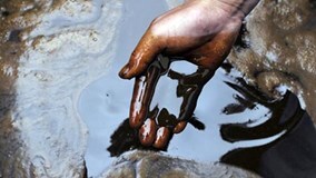 Chủ nhà hàng đi tù vì nấu ăn bằng dầu vớt từ ống cống