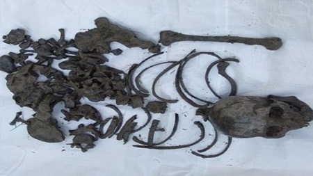 Đi bắt tôm, hoảng hồn phát hiện bộ xương người dưới ao