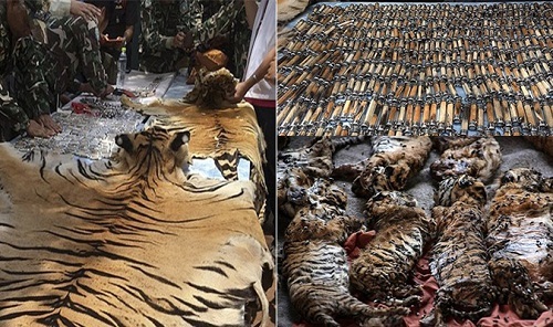 Khám xét ngôi đền thiêng, cảnh sát phát hiện tội ác man rợ