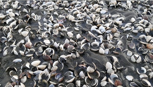 Tin tức thời sự 24h mới nhất ngày 15/5