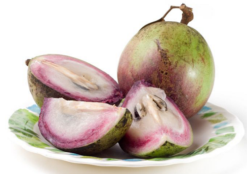 Vú sữa, loại quả độc quyền Việt Nam và những tác dụng khiến chị em bất ngờ