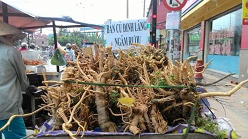 Bị suy thận chỉ vì nghĩ rượu độc là thuốc bổ thận tráng dương cực đỉnh