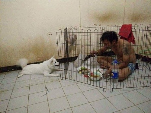 Hài hước những bức ảnh khiến bạn cười mãi không thôi