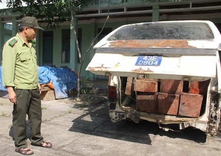 Tài xế xe biển xanh chở gỗ lậu, bỏ chạy khi thấy kiểm lâm