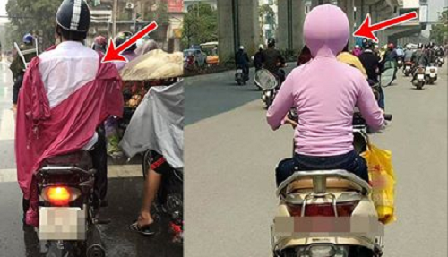 Thư giãn với loạt ảnh “bá đạo” khiến người xem “cười lăn cười bò”