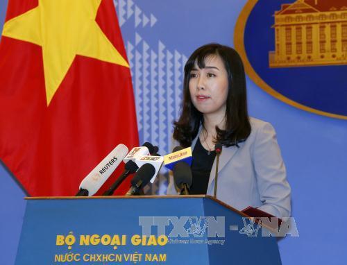  Người Phát ngôn Bộ Ngoại giao: Thực hiện biện pháp bảo hộ công dân Việt Nam ở nước ngoài 