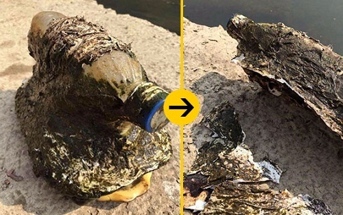 Phát hiện sự thật đau lòng sau khi vớt được chai nhựa lạ trôi trên sông