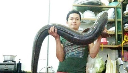 Bắt được cá lệch