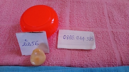 Đi đánh cá, ngư dân Bạc Liêu bắt được viên ngọc ốc quý hiếm