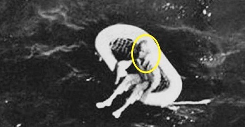 Được cứu sống khi trôi nổi một mình trên biển, 10 năm sau bé gái bất ngờ tiết lộ sự thật kinh hoàng