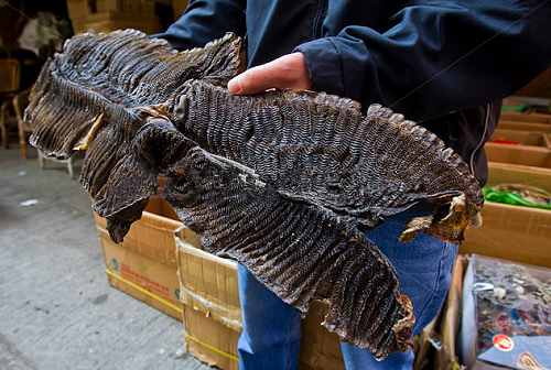 Sự thật tàn nhẫn phía sau vật lạ màu đen được du khách phát hiện trên phố