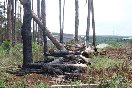 Thanh tra toàn diện công ty của gia đình nguyên Phó Giám đốc Công an tỉnh