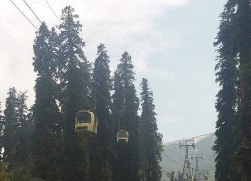 Cây đổ làm đứt cáp treo cao nhất thế giới, 7 người thiệt mạng