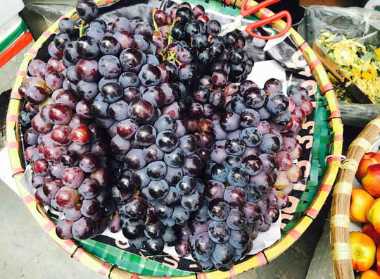Truy tìm nguồn gốc nho ngọt lịm, quả to bán tràn lan ở Hà Nội: Giật mình phát hiện bị lừa
