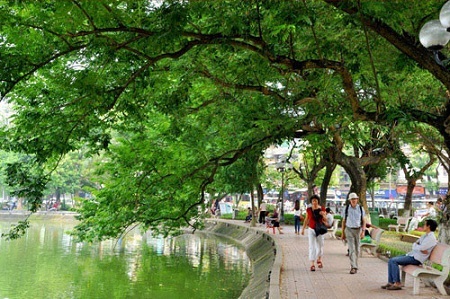 Chủ tịch Hà Nội: Chưa bao giờ Hà Nội nói thay cây xanh Hồ Gươm