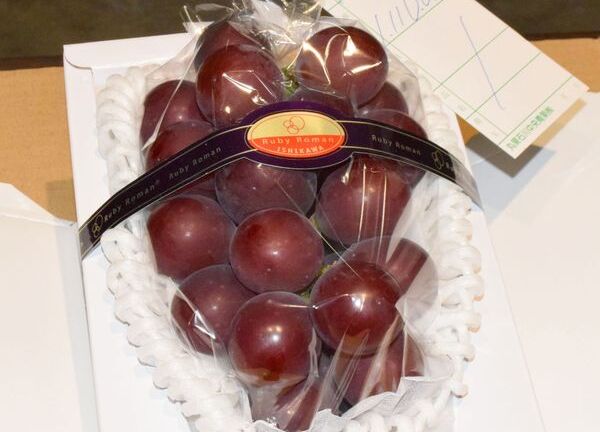 Chơi sang như đại gia Nhật Bản, bỏ 221 triệu đồng mua một chùm nho