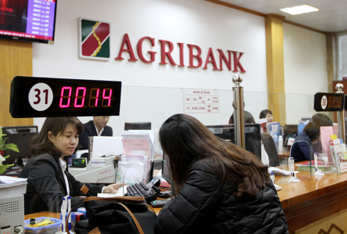 Agribank: Tín dụng tập trung phát triển sản xuất kinh doanh