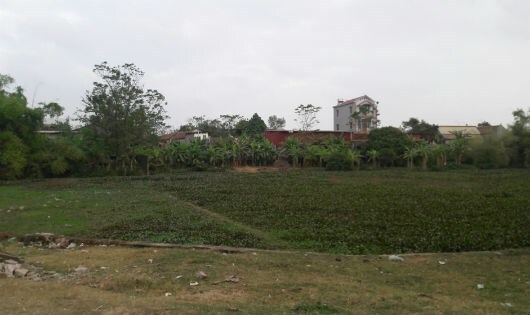 Bắc Giang: Hàng nghìn m2 đất nông nghiệp sử dụng sai mục đích?