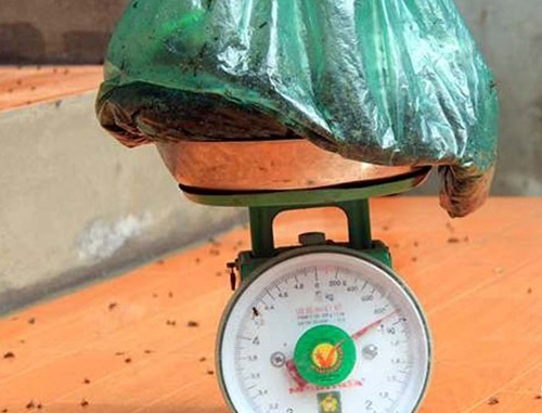 Người dân Sóc Sơn khốn khổ vì mùi rác, ruồi chết tính bằng cân