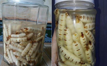 Săn mối chúa 70.000 đồng/con làm đặc sản