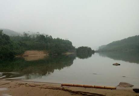 Ra thông báo tìm Giám đốc rừng phòng hộ 