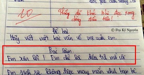 Bài văn tả mẹ ngắn gọn nhưng sâu sắc khiến thầy giáo cũng phải xúc động bật khóc 